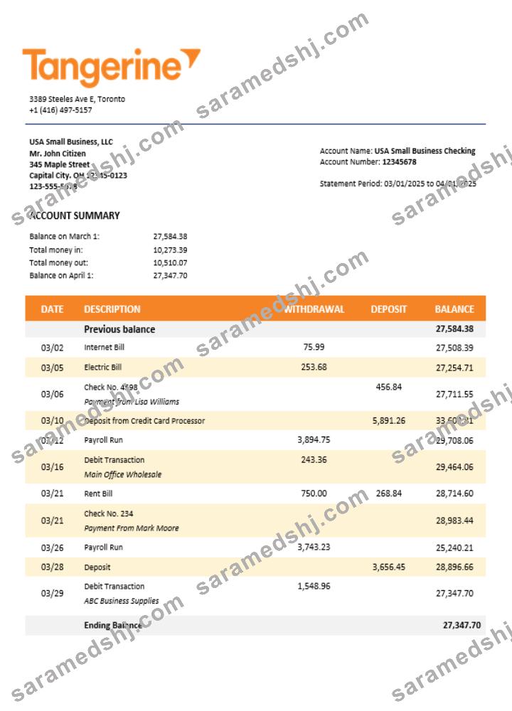 Tangerine business bank statement Word and PDF format